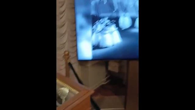 13 мая 2024 г. смотреть онлайн