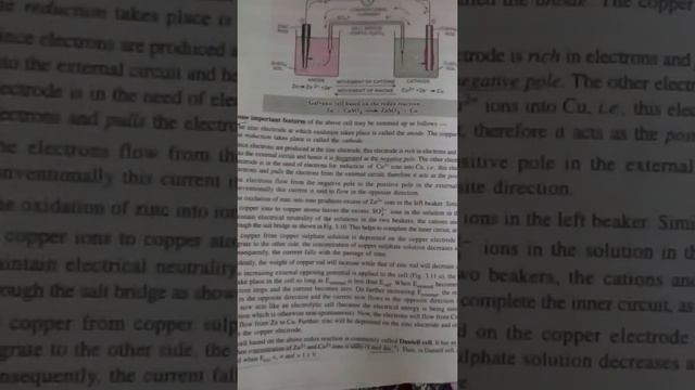 Daniell cell смотреть онлайн