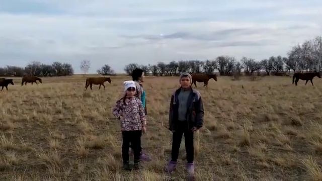 Современные кочевники Modern Nomads