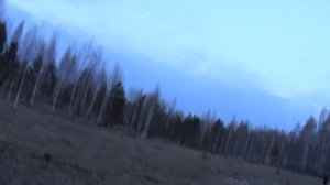 Охота на вальдшнепа весной на тяге. Заметки охотника #31. Первый добытый вальдшнеп 2017.