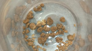 Золото 999.9 пробы в домашних условиях 🔥Аффинаж и чистка,супер метод☝️