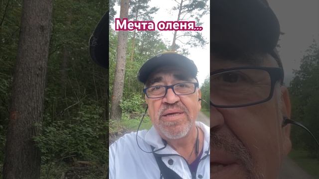 Мечта оленя #прикол #юмор #смех #ржака смотреть онлайн