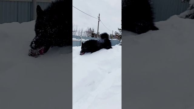 Буч спортсмен