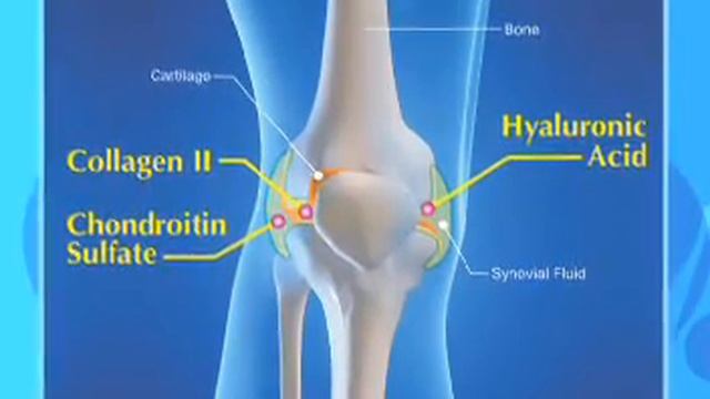 BioCell Collagen ® Spotlight