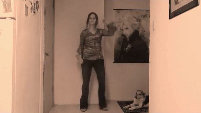O-Zone - Dragostea Din Tei (numa numa) - Ganzen ParaPara Version смотреть онлайн