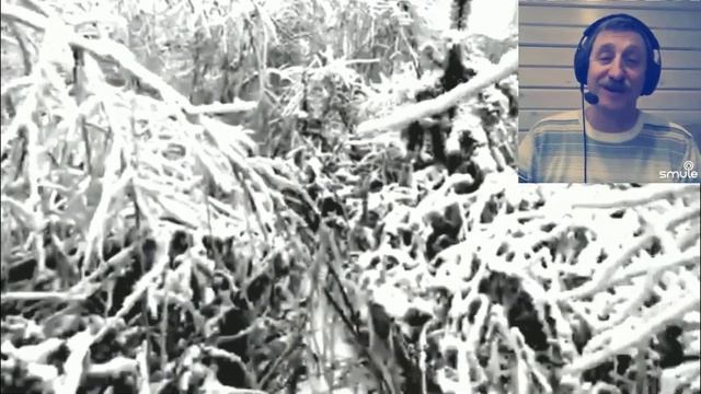 шёл медведь к себе домой смотреть онлайн