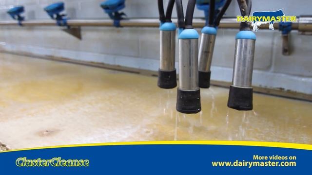 ClusterCleanse - Want to flush away mastitis? Interested in lowering your SCC? смотреть онлайн