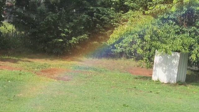 НЕЗЕМНАЯ КРАСОТА // РАДУГА СИДИТ ПРЯМО ВО ДВОРЕ НА ТРАВЕ У НАС // США смотреть онлайн