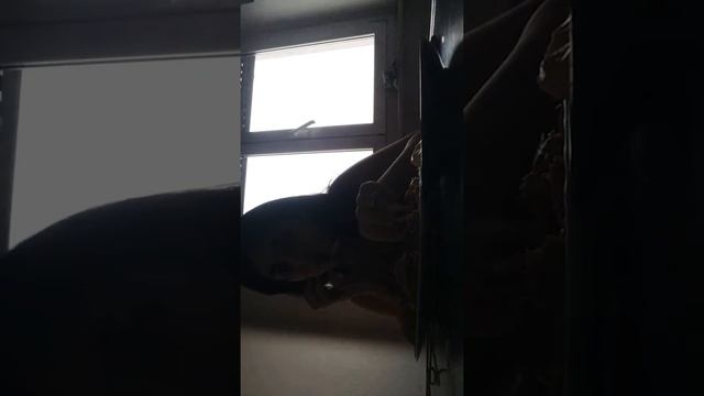 ASMR DI POLLO MANGIO CON VOI _ LETIZIA LEONARDI ITA EATING SOUNDS смотреть онлайн