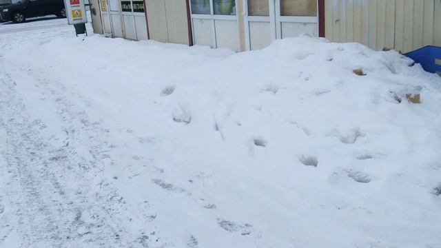 Езжу по авторынкам в Кунцево Румянцево, собираю запчасти на Хундай Гетц смотреть онлайн