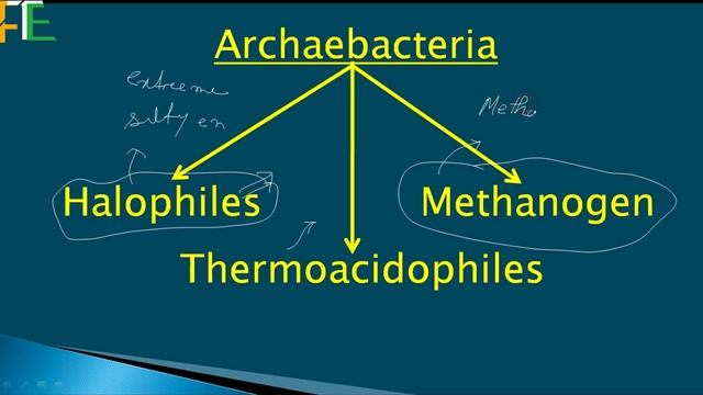 Kingdom Monera. Biology in English. #BidyalyaAxom #FeeltheEnglish. смотреть онлайн