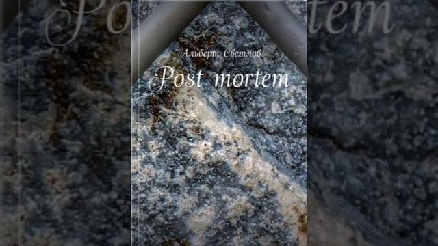 Бусинки дождевых капель