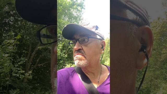 Кто это на столе?ЖИВОЙ АНЕКДОТ смотреть онлайн