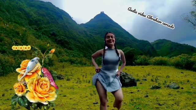 VIDITA MIA : Cielo Azul de moran alto vol 2 смотреть онлайн