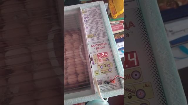 1 день инкубации Матрица Дели смотреть онлайн