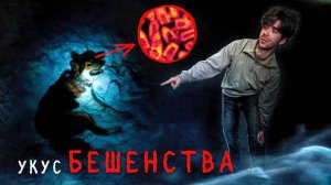 Меня укусил БЕШЕНЫЙ ПËС! Сознание животных | РазМИШления