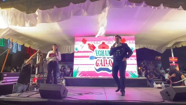 !Échate un Gallo! ️ con A Tiempo.Tv y gana 10, 000 pesos смотреть онлайн