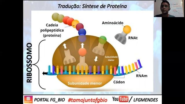 Aula 04: Tradução do RNA смотреть онлайн