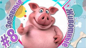 ЗАБАВНЫЕ И СМЕШНЫЕ ЖИВОТНЫЕ / ПРИКОЛЫ С ЖИВОТНЫМИ / ЛУЧШИЕ ПРИКОЛЫ №8