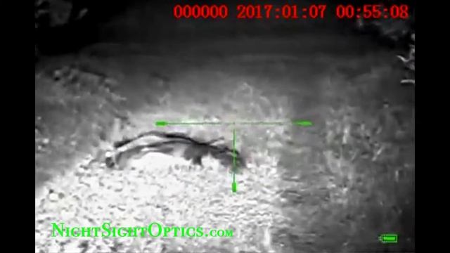 Photon Digital Weapon Sight (Part 2) смотреть онлайн