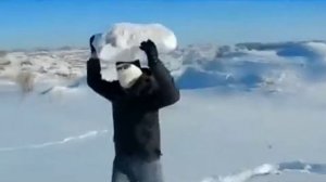 Твёрдый газ, жёсткий лёд