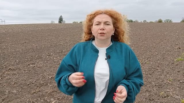 Чи варто зараз вносити гліфосати, ґрунтові гербіциди, бульбочкові бактерії? смотреть онлайн