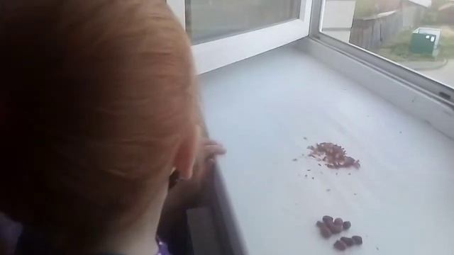 У сестры/ чебуреки 🥟 смотреть онлайн