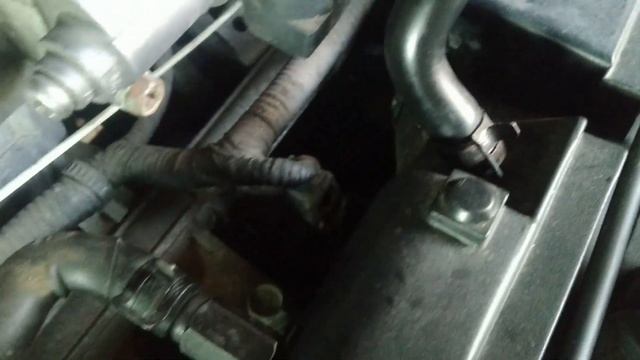 Проверка ремня ГРМ и роликов натяжного и обводного на Хундай Гетц 1'4 1'6 смотреть онлайн