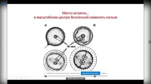 Доклад С. Сухоноса на конференции «Природоподобные-природосообразные технологии и наше будущее»