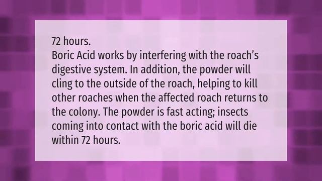 What do you mix with boric acid to kill roaches? смотреть онлайн