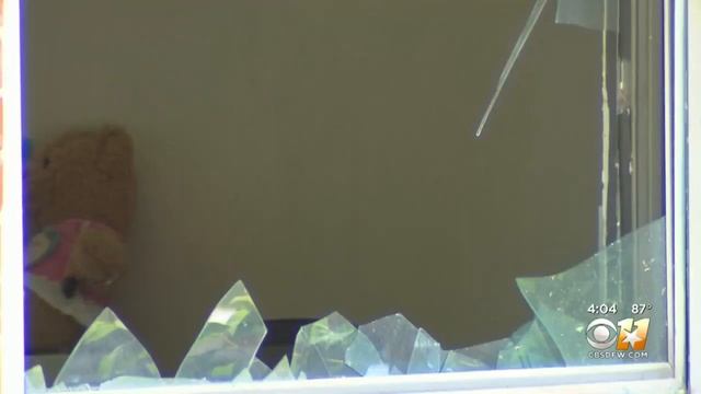 Mother Kills Self, 8-Year-Old Daughter In Dallas смотреть онлайн