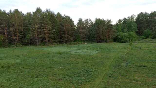 Песни друзей для друзей смотреть онлайн