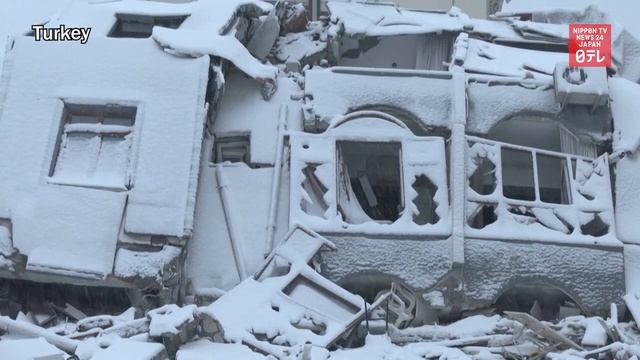 Kurds in Japan seek help over quake in Turkey смотреть онлайн