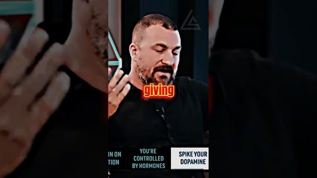 “Pain evokes dopamine release after the pain is over” | Andrew Huberman | Daily Motivation смотреть онлайн