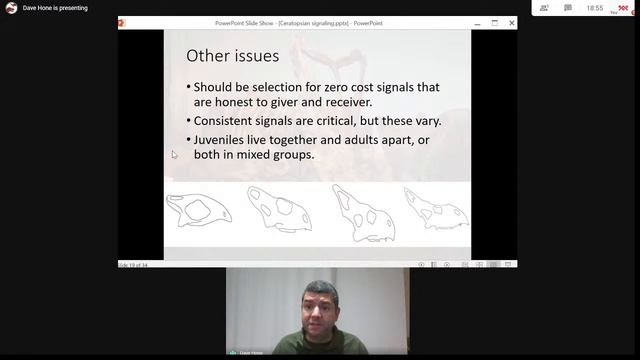 Dr David Hone: Signalling and Selection in the Horned Dinosaurs (29.10.2020) смотреть онлайн