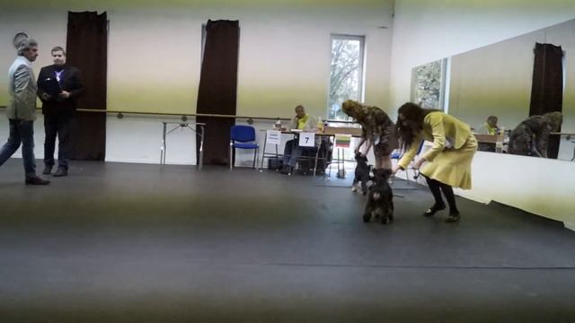 19.10.14, National Drive-in Dog Shows In Rakvere, Eesti 3