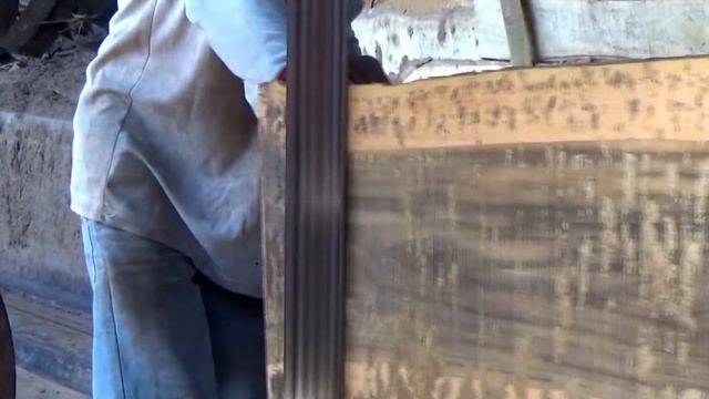 Mahluk aneh luar angkasa turun kebumi menjelma sebagai kayu jati beginilah wujudnya смотреть онлайн