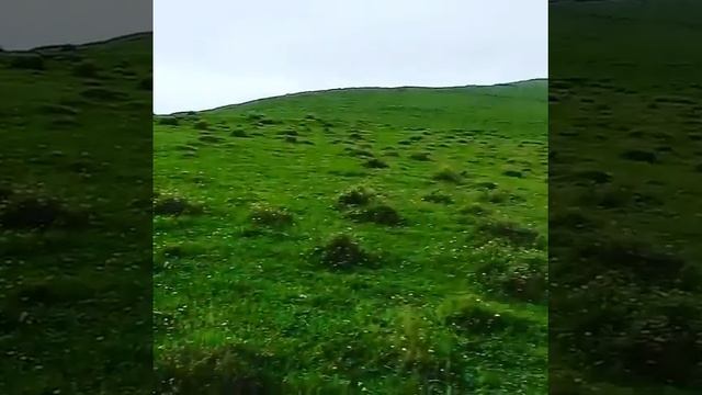 Дахадаевский район с.ХУРШНИ; ) ; ) смотреть онлайн