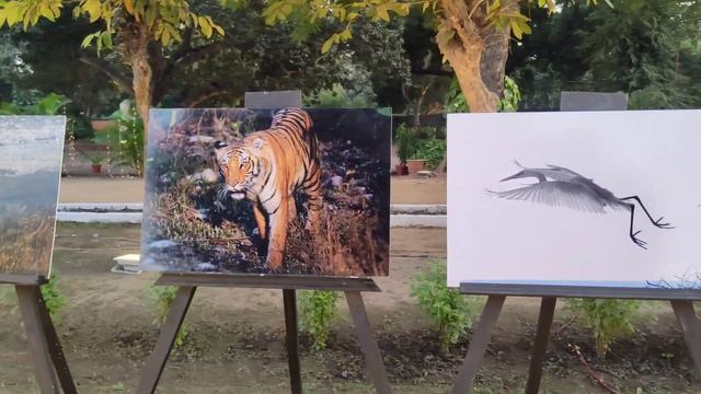Delhi Modern School Vlog । Barkhamba road .Vlog no -- 58 #delhi #schoolvlog #modernschool #vlog смотреть онлайн