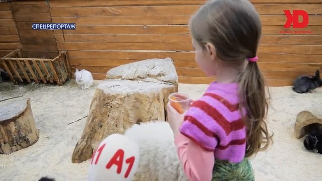 City Zoo — сімейний відпочинок! смотреть онлайн