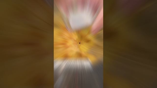 картофель с беконом