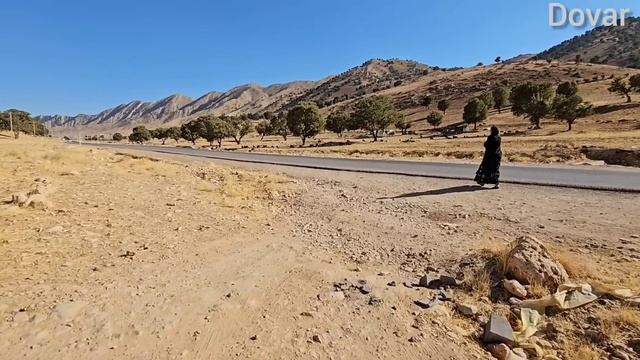 Nomadic Life: The Future Of Zainab’s Children—Will Poverty Hinder Their Educational Dreams?