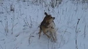 Подружки, не разлей вода)))