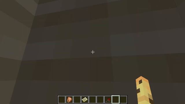 #Minecraft. ЧТО же ЭТО ТАКОЕ? Непослушная кошка кидается курицей. mod #Morph. смотреть онлайн