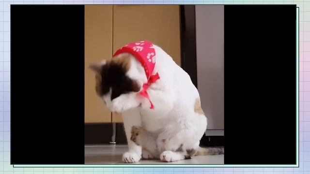 BossNoeul |💋 Kissing? Moments (ENG SUB) #bossnoeul #bonoh #bosschaikamon #noeulnuttarat #noeullee смотреть онлайн