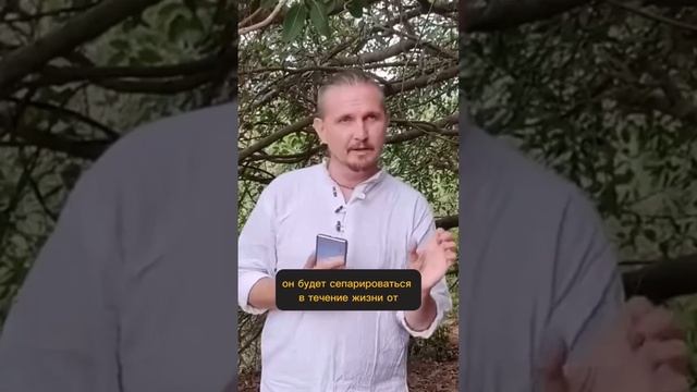 Раху в 1 доме смотреть онлайн