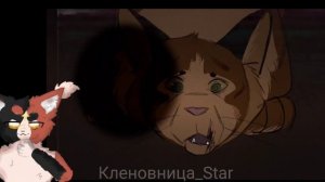 #31 Утерянные файлы/Метеор/коты воители/описание