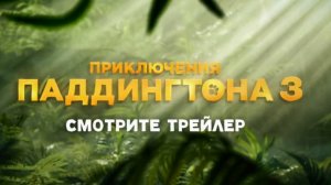 Приключения Паддингтона 3 (2024) Русский трейлер