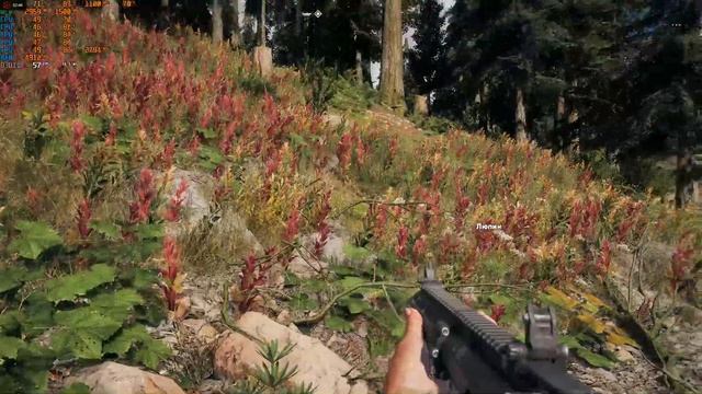 Far Cry 5 E5-1603 R9 280x смотреть онлайн