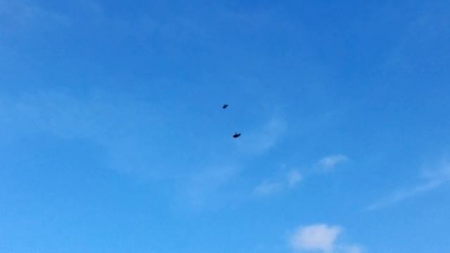 Голуби Лозоватского.Фильм 77 часть 1.